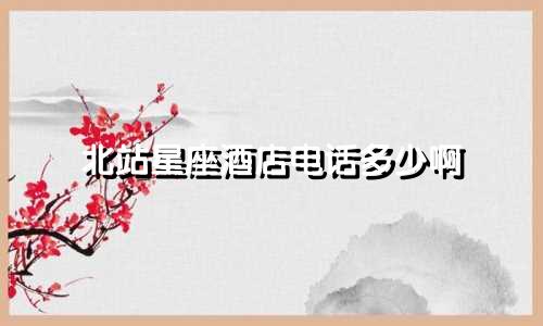 北站星座酒店电话多少啊