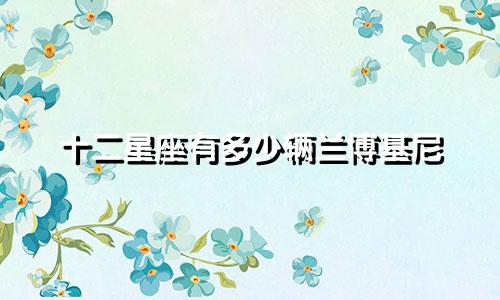 十二星座有多少辆兰博基尼