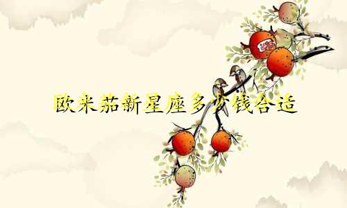 欧米茄新星座多少钱合适