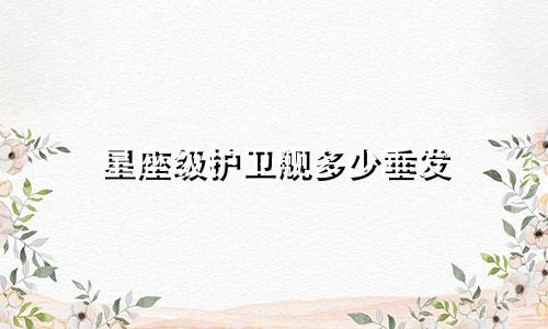 星座级护卫舰多少垂发