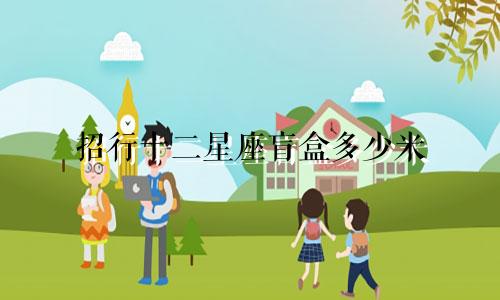 招行十二星座盲盒多少米