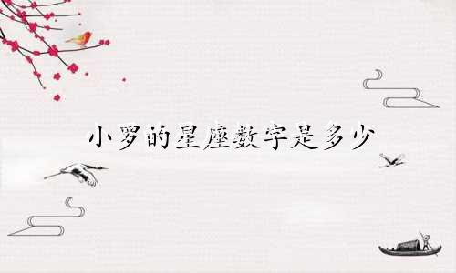 小罗的星座数字是多少