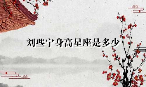刘些宁身高星座是多少
