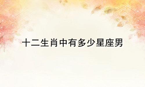 十二生肖中有多少星座男