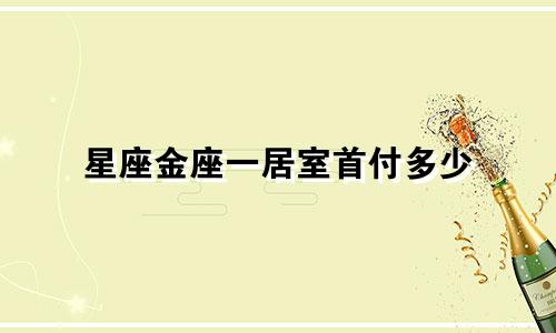 星座金座一居室首付多少