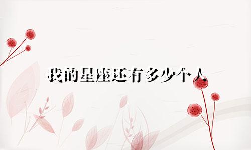 我的星座还有多少个人