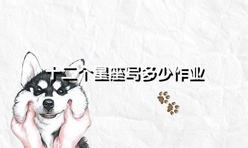 十二个星座写多少作业