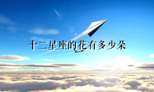 十二星座的花有多少朵