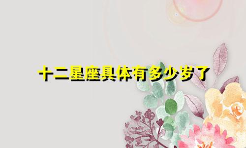 十二星座具体有多少岁了