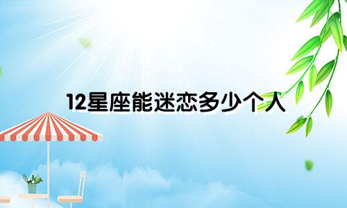 12星座能迷恋多少个人
