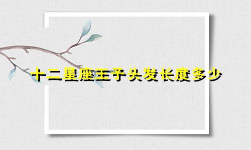 十二星座王子头发长度多少