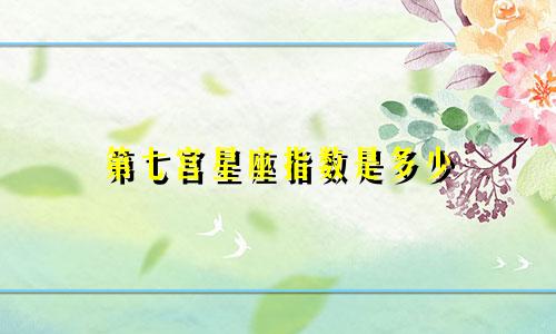 第七宫星座指数是多少