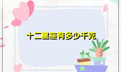 十二星座有多少千克