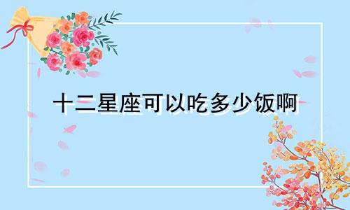 十二星座可以吃多少饭啊