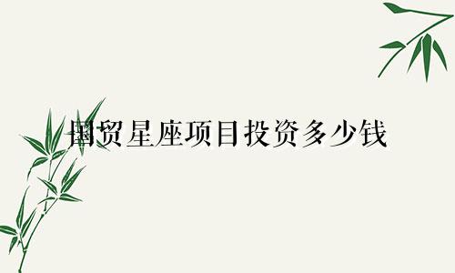 国贸星座项目投资多少钱
