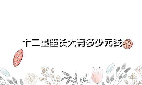 十二星座长大有多少元钱