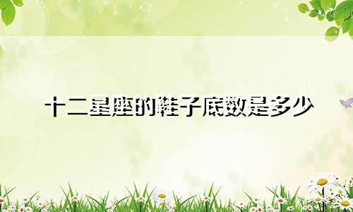 十二星座的鞋子底数是多少