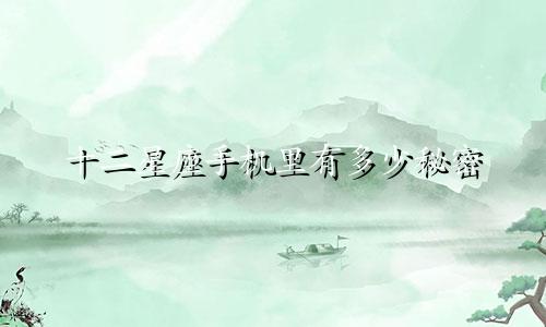 十二星座手机里有多少秘密