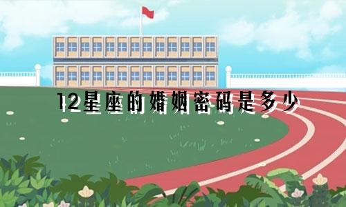 12星座的婚姻密码是多少
