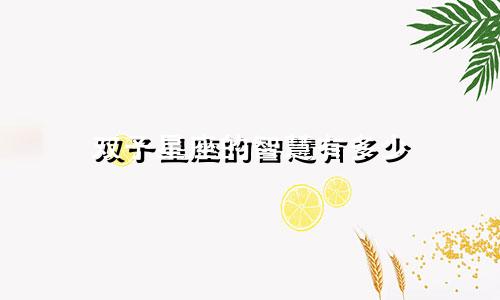 双子星座的智慧有多少