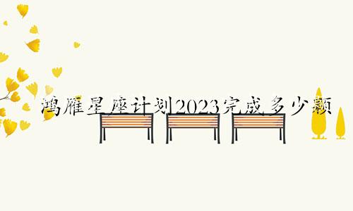 鸿雁星座计划2023完成多少颗