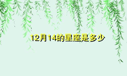 12月14的星座是多少
