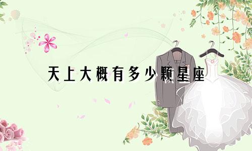 天上大概有多少颗星座