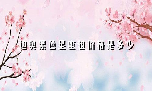 迪奥黑色星座包价格是多少