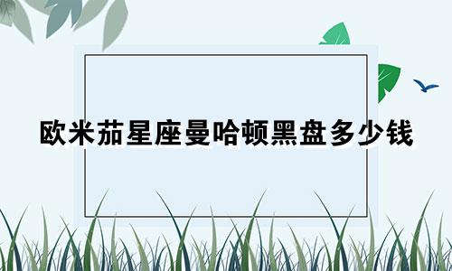 欧米茄星座曼哈顿黑盘多少钱