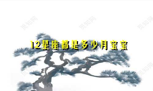 12星座都是多少月宝宝