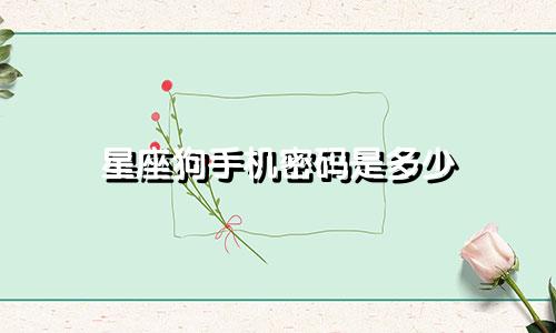 星座狗手机密码是多少