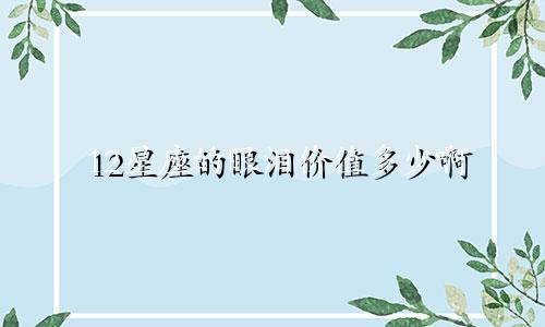 12星座的眼泪价值多少啊