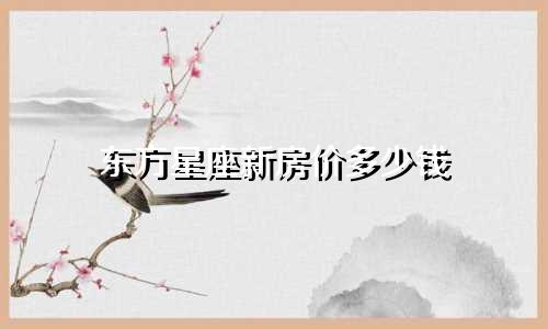 东方星座新房价多少钱