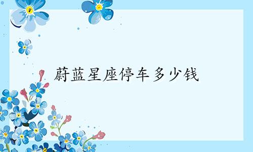 蔚蓝星座停车多少钱