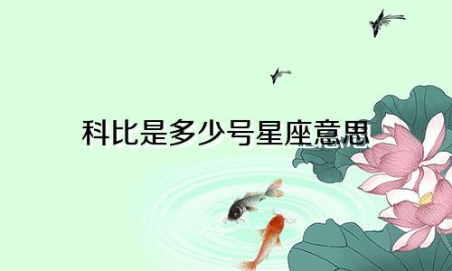 科比是多少号星座意思