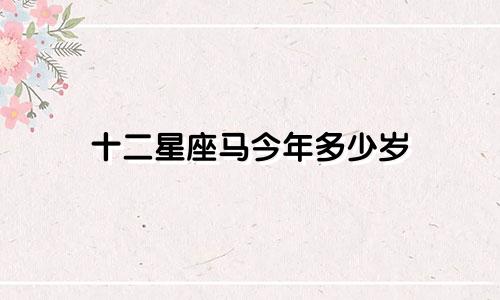 十二星座马今年多少岁