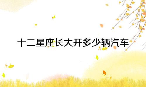 十二星座长大开多少辆汽车