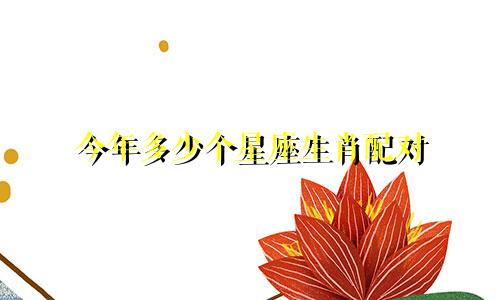 今年多少个星座生肖配对