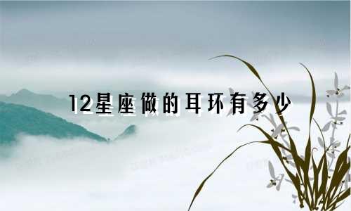 12星座做的耳环有多少