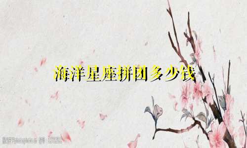 海洋星座拼团多少钱