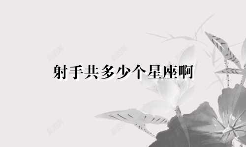 射手共多少个星座啊