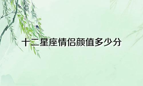 十二星座情侣颜值多少分