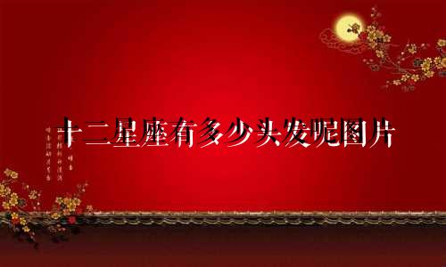 十二星座有多少头发呢图片