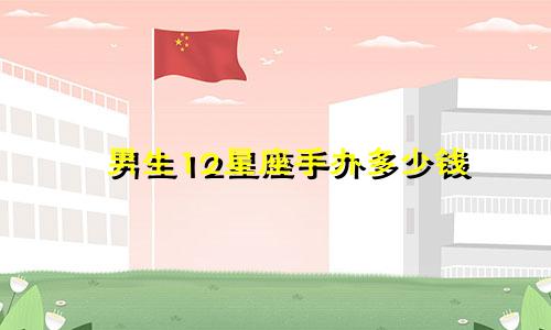 男生12星座手办多少钱