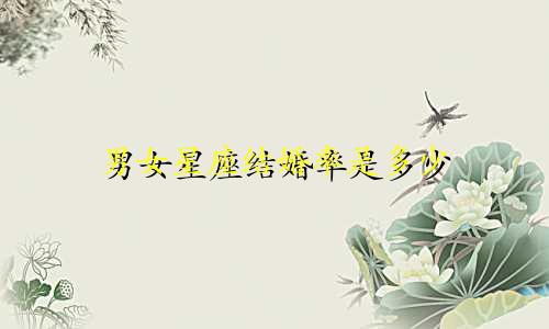 男女星座结婚率是多少
