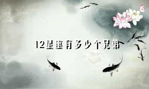 12星座有多少个兄弟