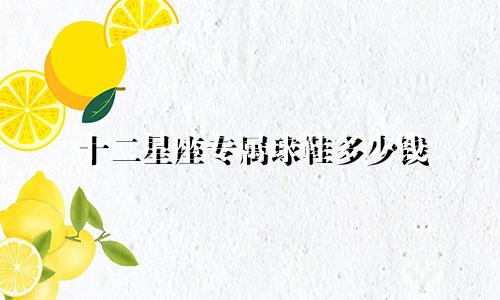 十二星座专属球鞋多少钱