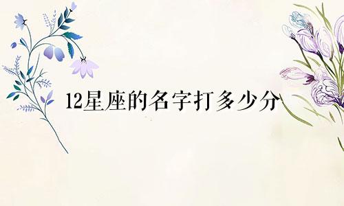 12星座的名字打多少分