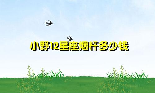 小野12星座烟杆多少钱