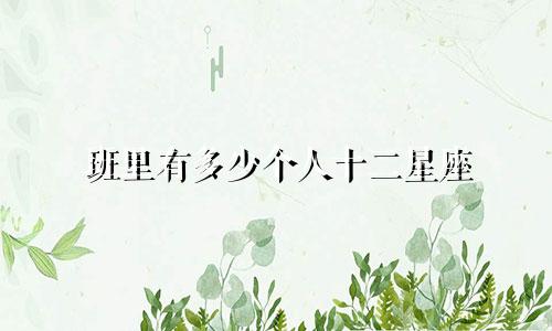 班里有多少个人十二星座